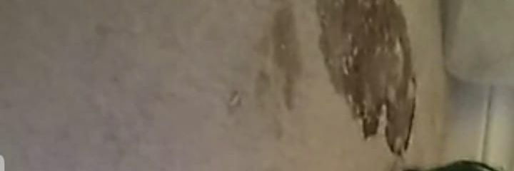 StupidRS's profile banner image