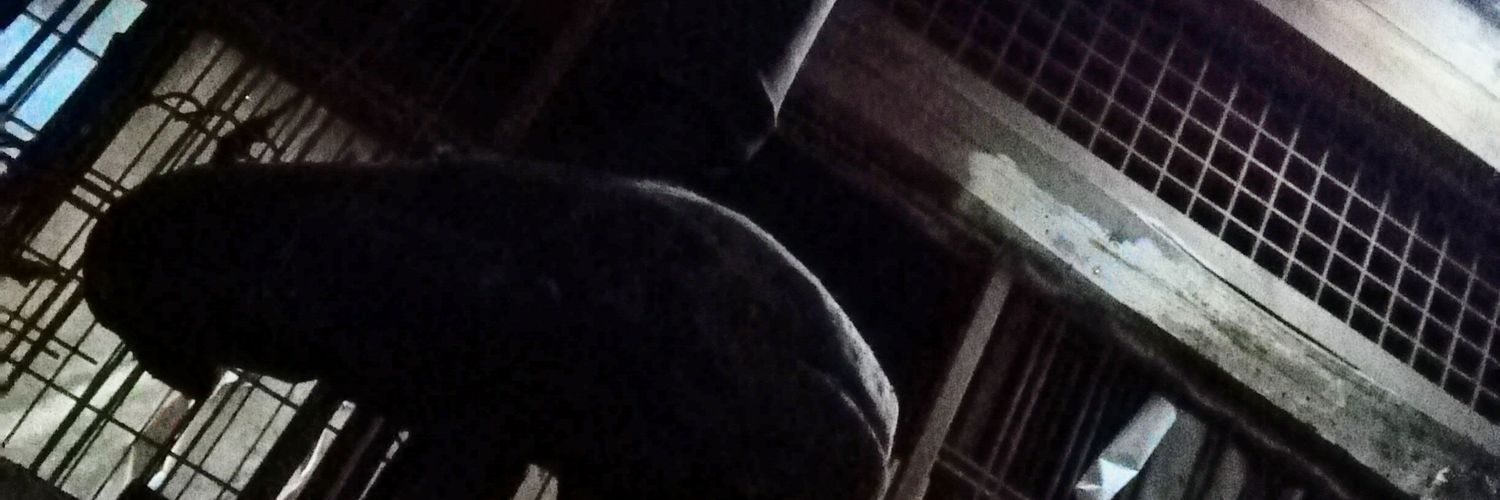 cei_8's profile banner image