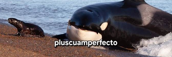 Velociraptor Confederado banner