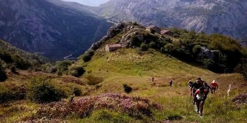 mariofercollan's profile banner image