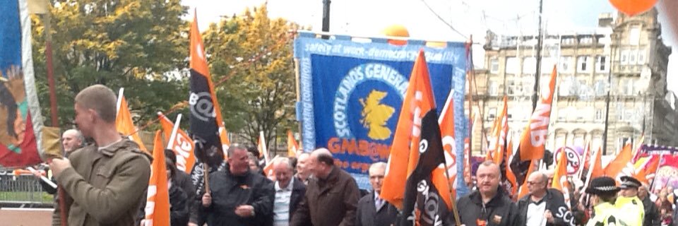 alex mcluckie banner