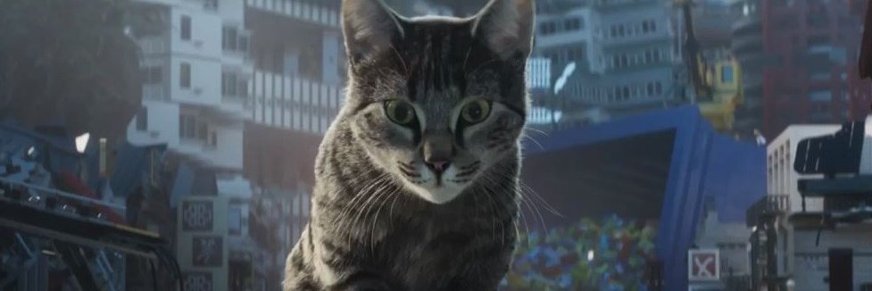 jeffreyxu's profile banner image
