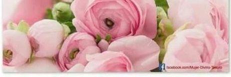 dkro0528's profile banner image