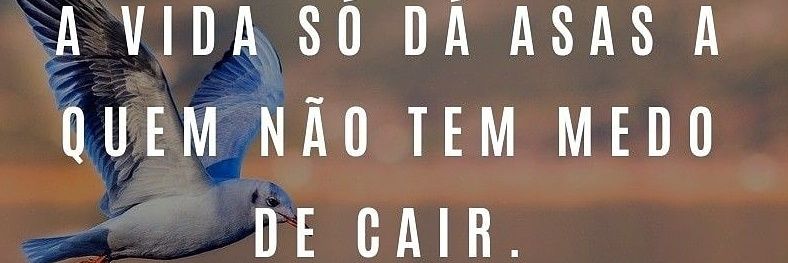 DJDinhoAndrade's profile banner image