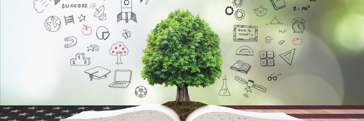 DoingSocialStudies banner