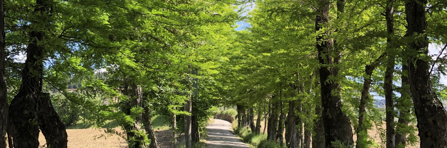 Tommaso Olivieri banner