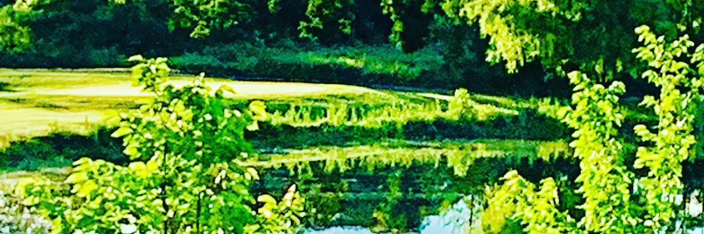 Roxanne Éthier banner