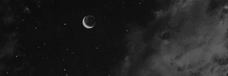 moonwxlker's profile banner image
