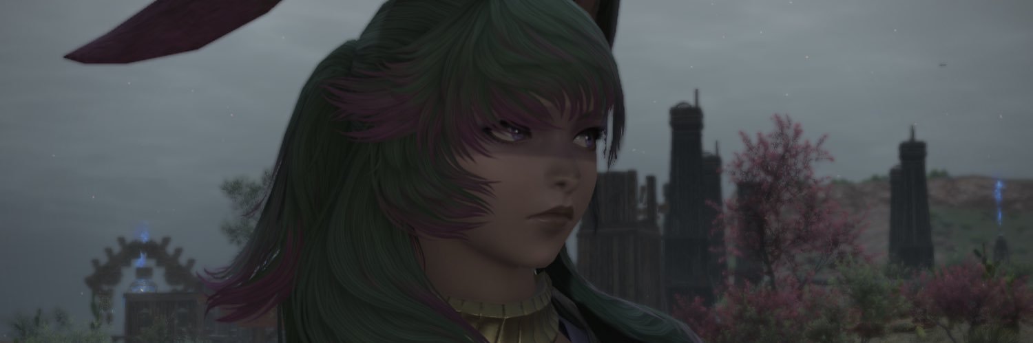 dinclaus's profile banner image