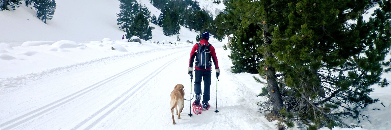 Juan Pablo García Iñiguez⚕ banner
