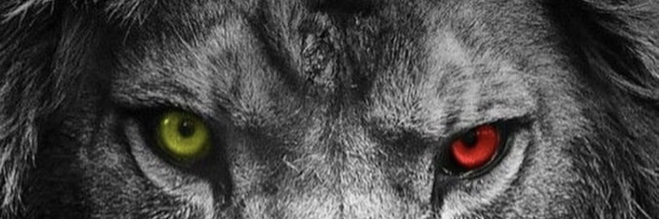 gerdi300's profile banner image