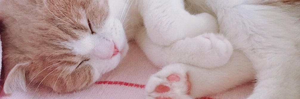 jyunamao's profile banner image