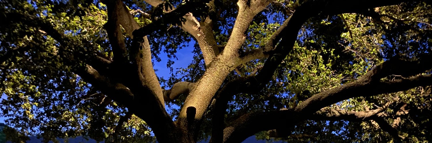 valleluis3's profile banner image