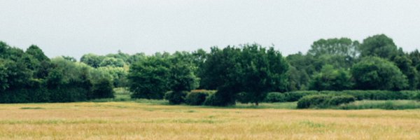 mayalxw Profile Banner