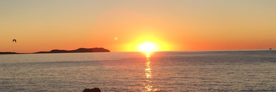 f_lambrecht's profile banner image