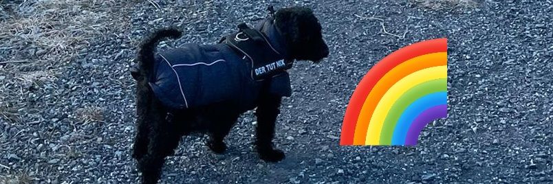 Nαԃʝα ˃ᴗ˂ banner