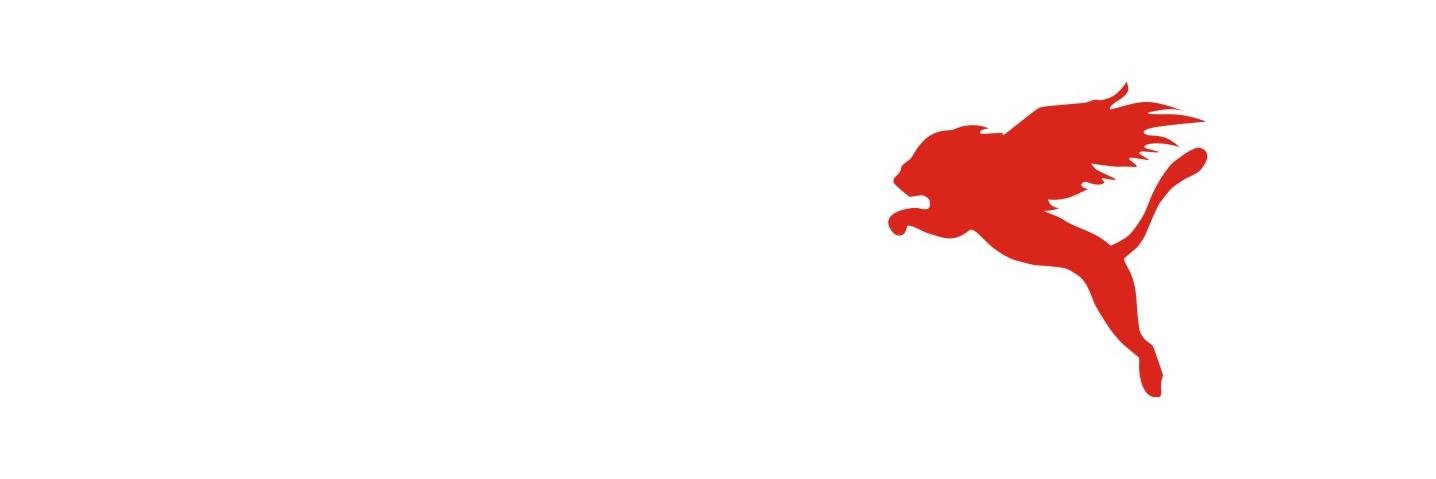 NGO! banner