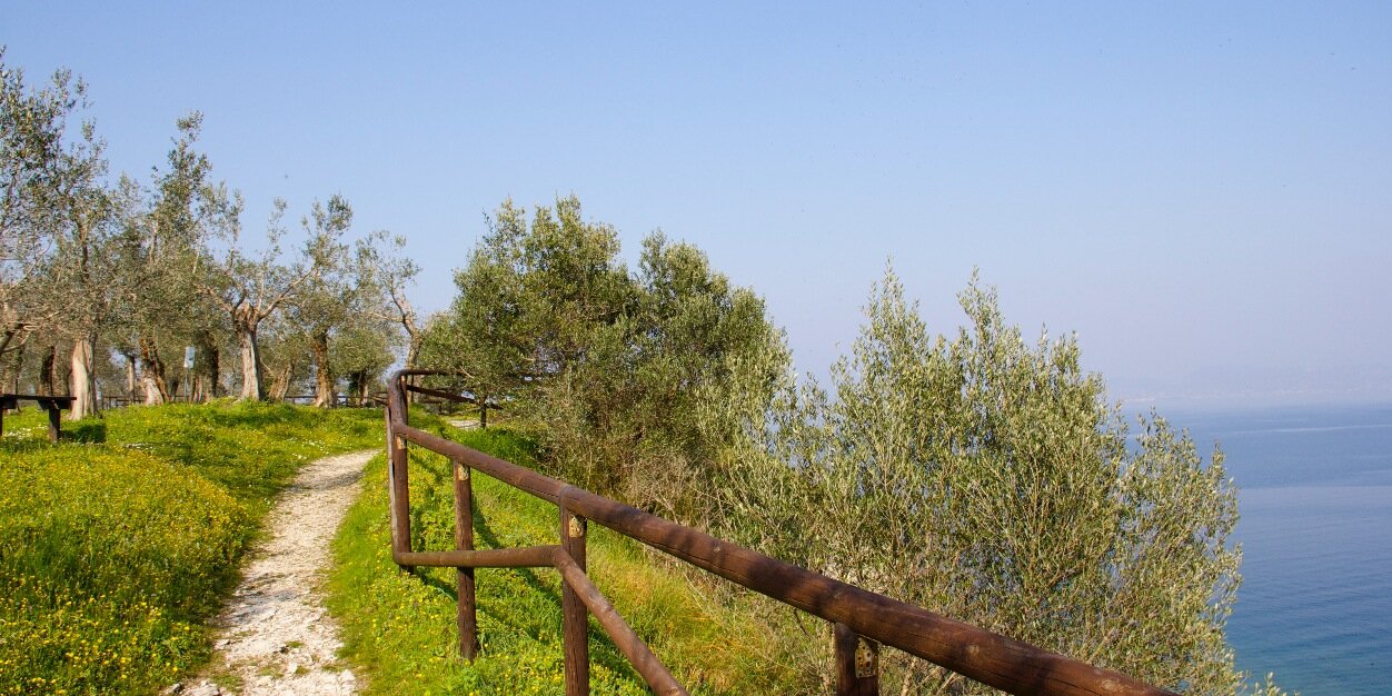 SapindePierre banner