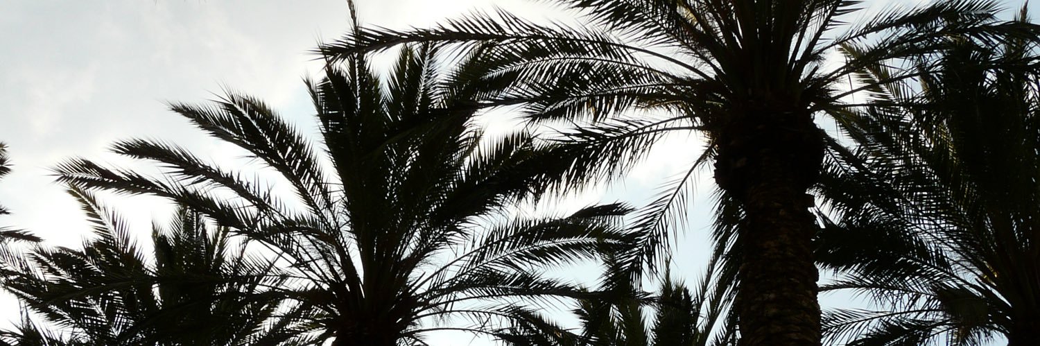 Harley’sLove banner