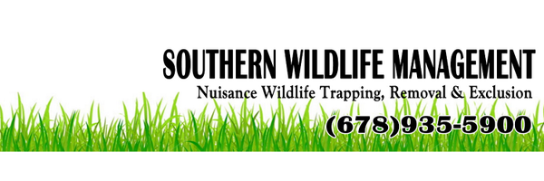 AnimalTrapperGA Profile Banner