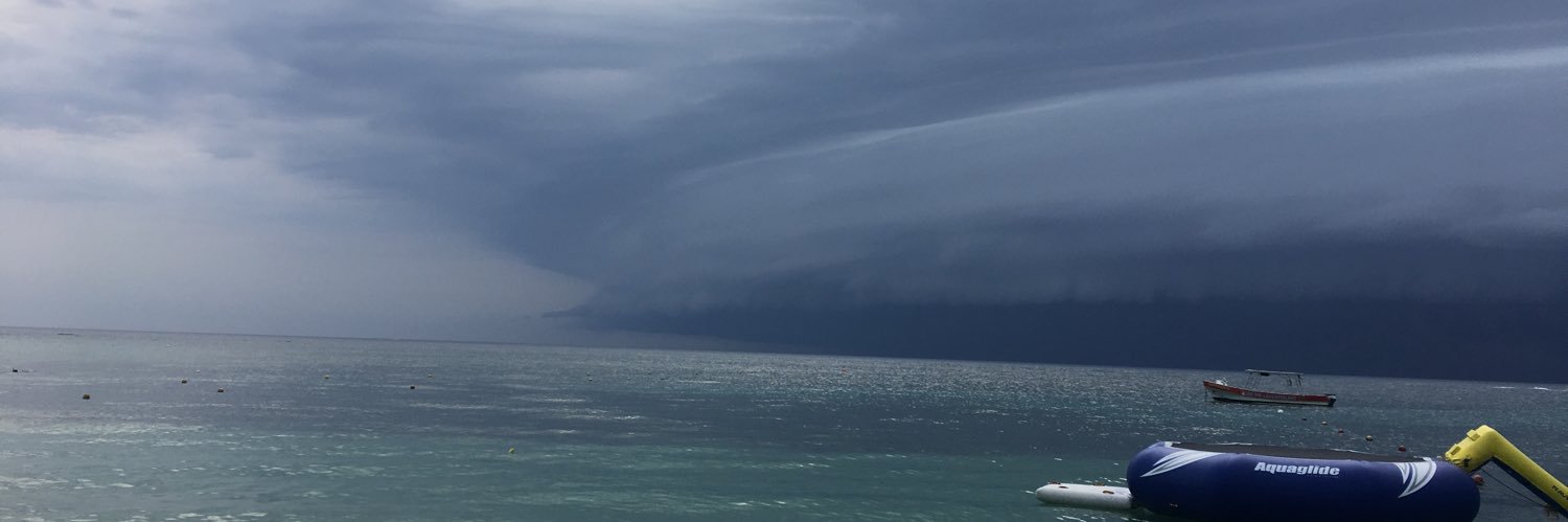 netopee's profile banner image