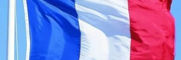 FoiDomie's profile banner image