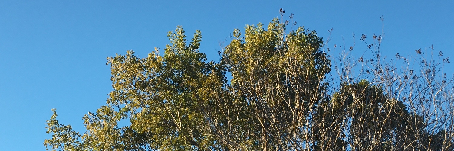 berrichill's profile banner image