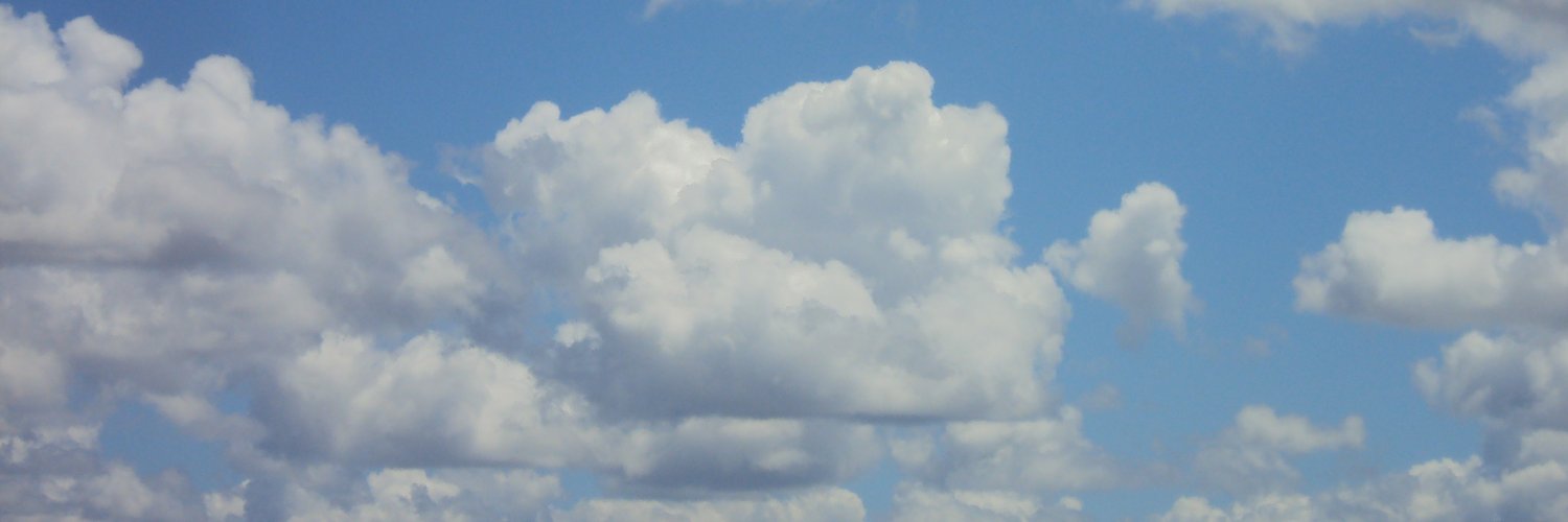 srtacota's profile banner image
