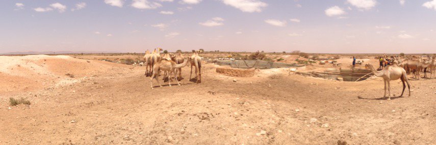 Michael Walls banner