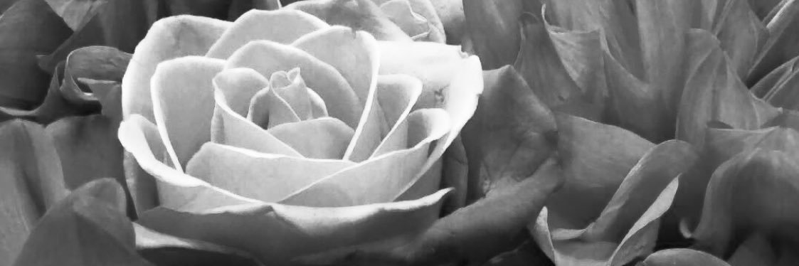jwfox28's profile banner image