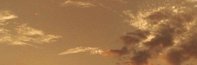 flower_hu10's profile banner image