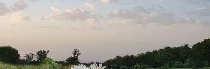 Azaher_'s profile banner image