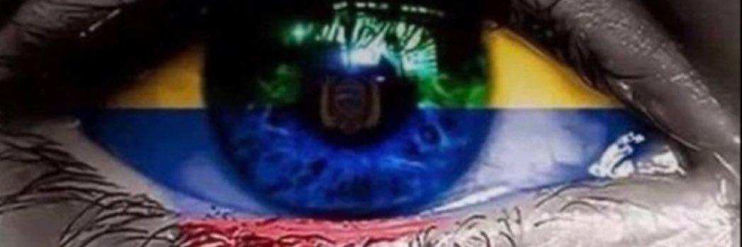 Malinda 🇺🇸🇺🇦🇵🇱🇨🇦🇮🇹🇦🇺🇬🇧🇬🇪🇩🇪🇸🇪's banner