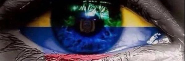 TreasChest Profile Banner