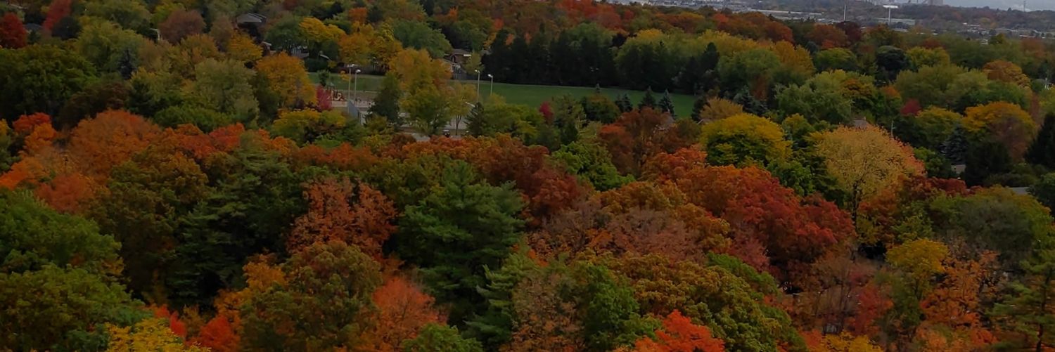RojaeJayF's profile banner image