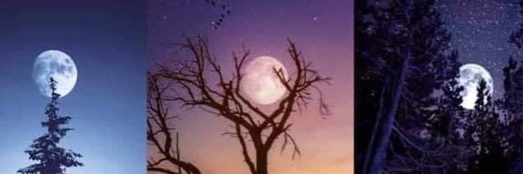 Alee__5's profile banner image