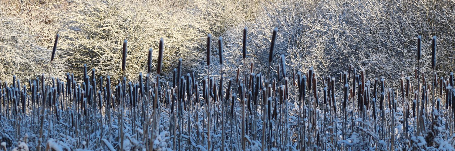 Aaron j hambridge banner