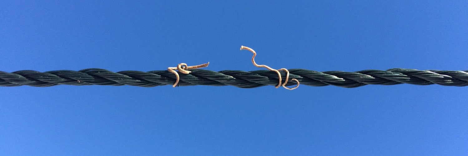 franklichnok's profile banner image