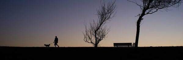 Alfredo_pasadas's profile banner image
