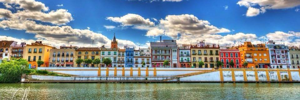 carcasoli's profile banner image