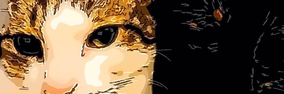 immificus's profile banner image