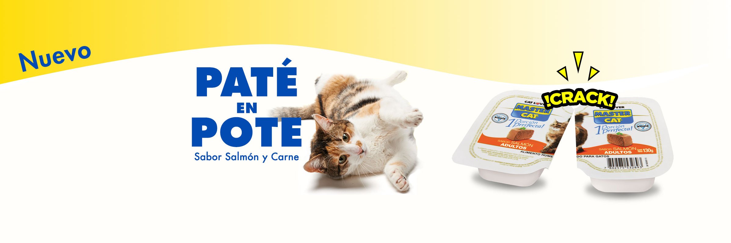 MasterCatChile's profile banner image