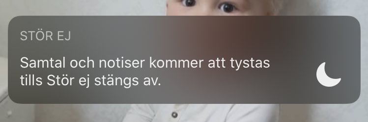 JuliaViborg's profile banner image