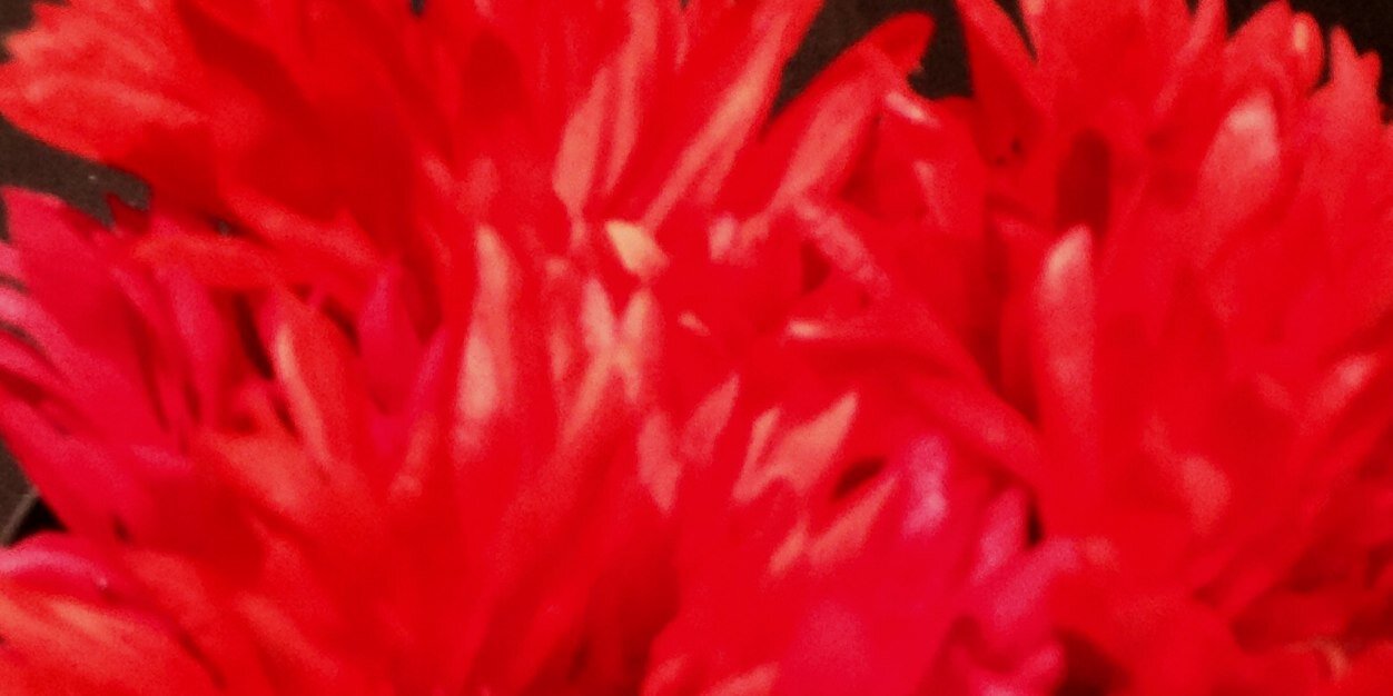 MusntKnow's profile banner image