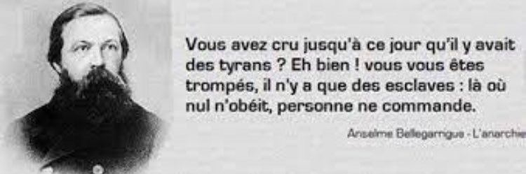 DKF #FreeFrance 🇫🇷 banner