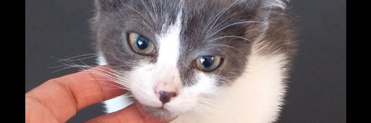 DGZG__'s profile banner image