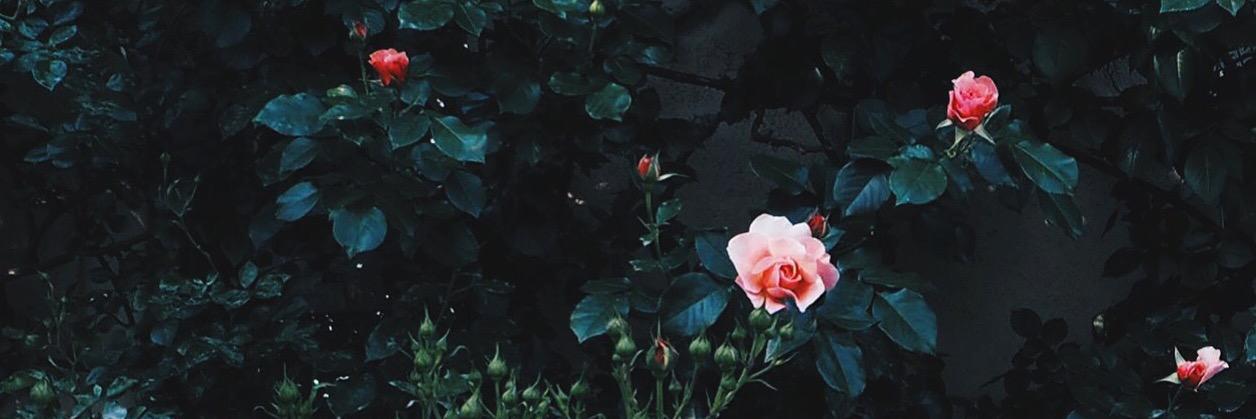 MajlingPP's profile banner image