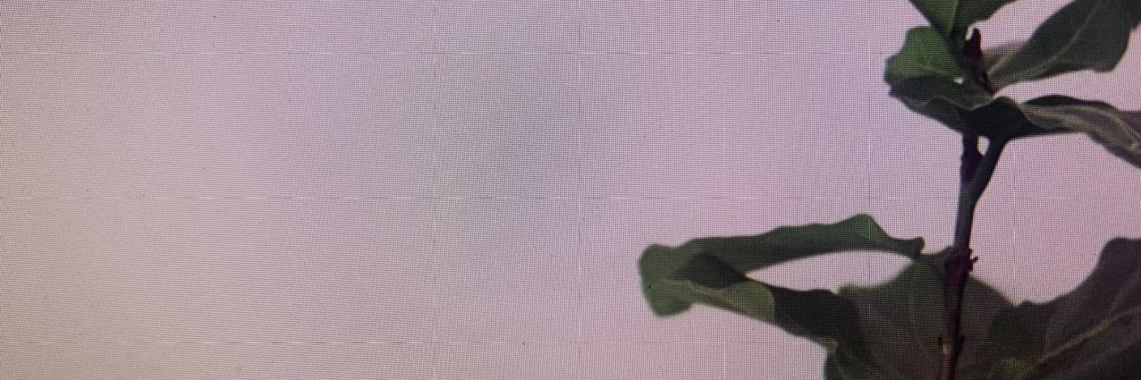 maritza diaz banner