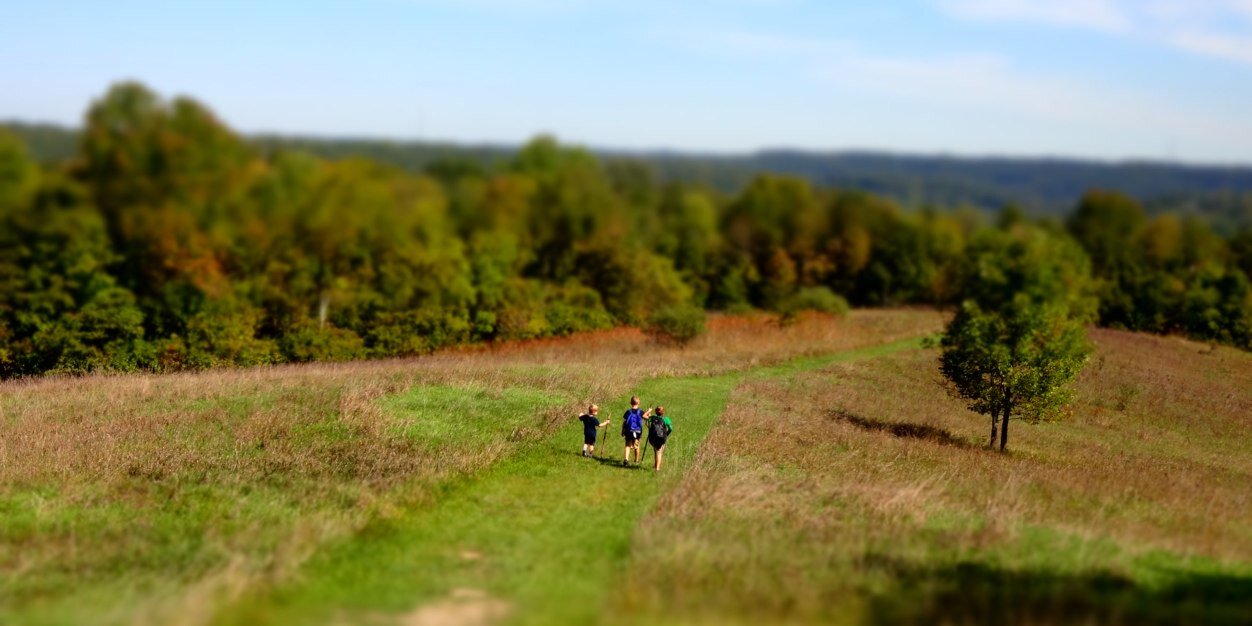 cfboeninger's profile banner image