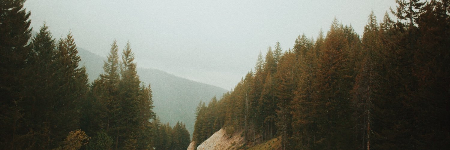 brookemstemen's profile banner image
